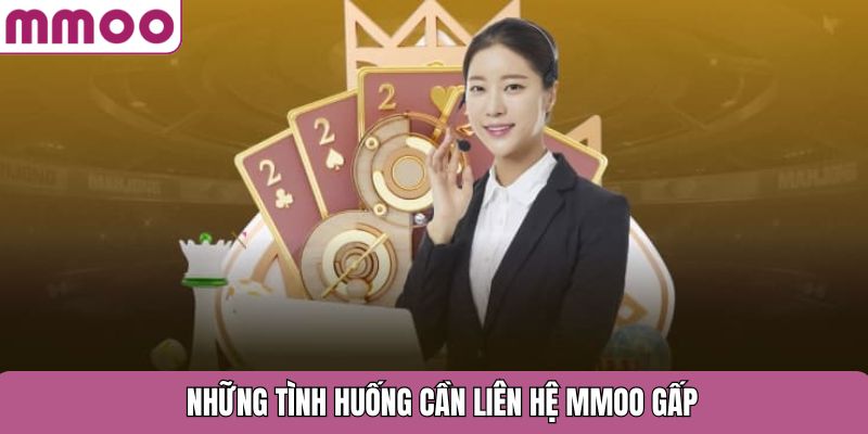Những tình huống cần liên hệ MMOO gấp